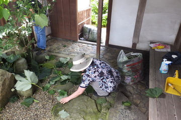 20150725-3.jpg