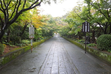 20161022.JPG