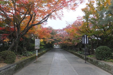 20161118.JPG