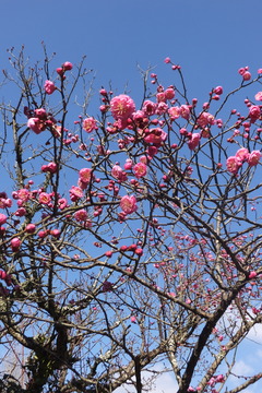 20170202-7.JPG