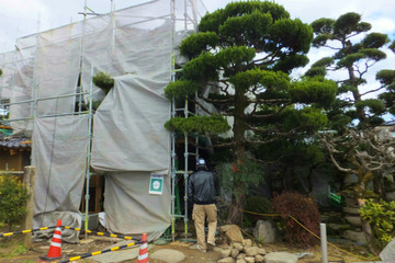 DSCF3173.jpg
