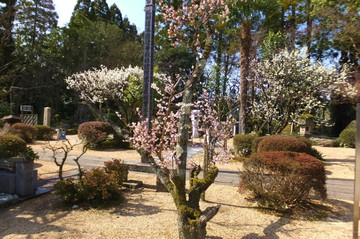DSCF3508.jpg